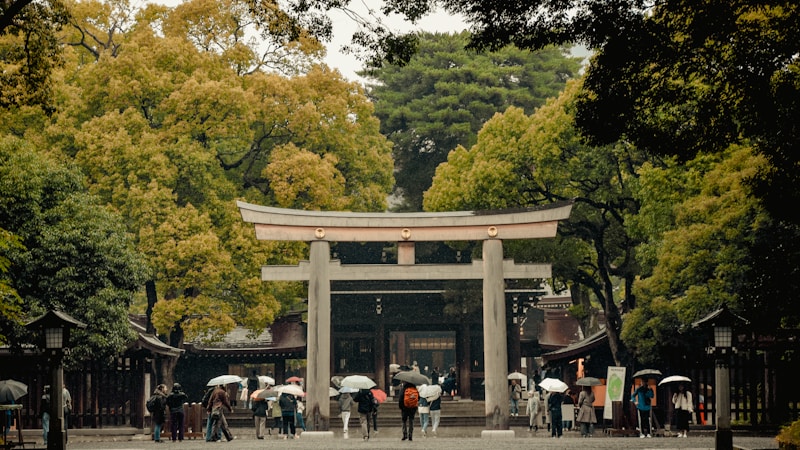 夏越の祓いの読み方は?意味・由来と行事で親しまれる食べ物をやさしく解説