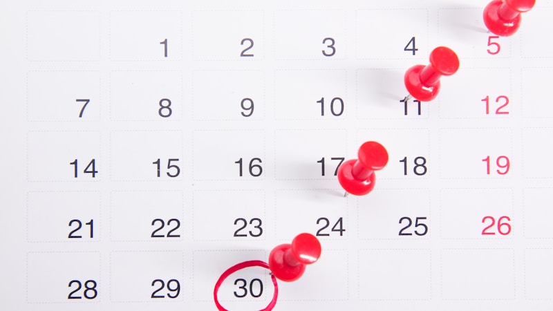 冬至と夏至はいつ?2026年まで早見表でわかる意味・違い・日の長さの基礎知識